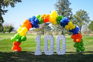 100 Holes in the Books