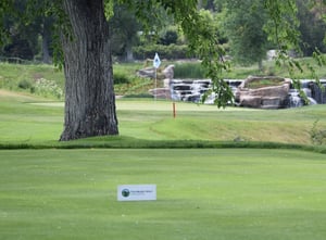 Teeing It Up