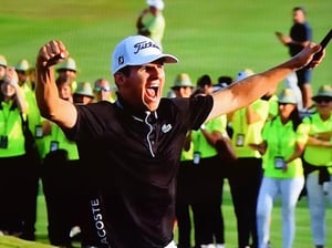 Sheer Elation