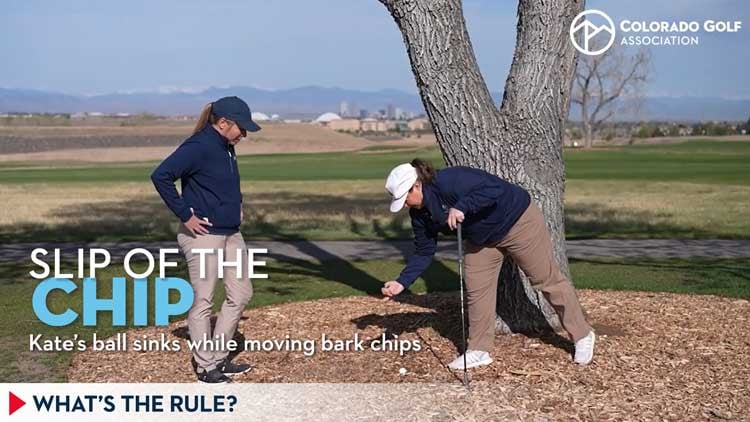 slip-chip