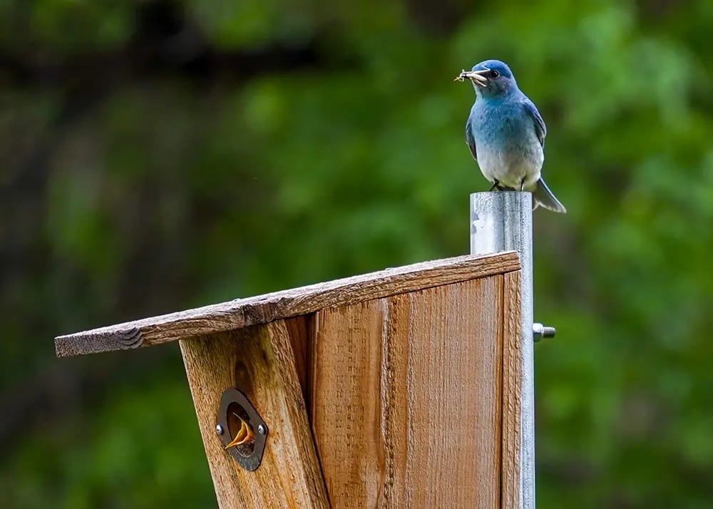 CommonGroundIniative