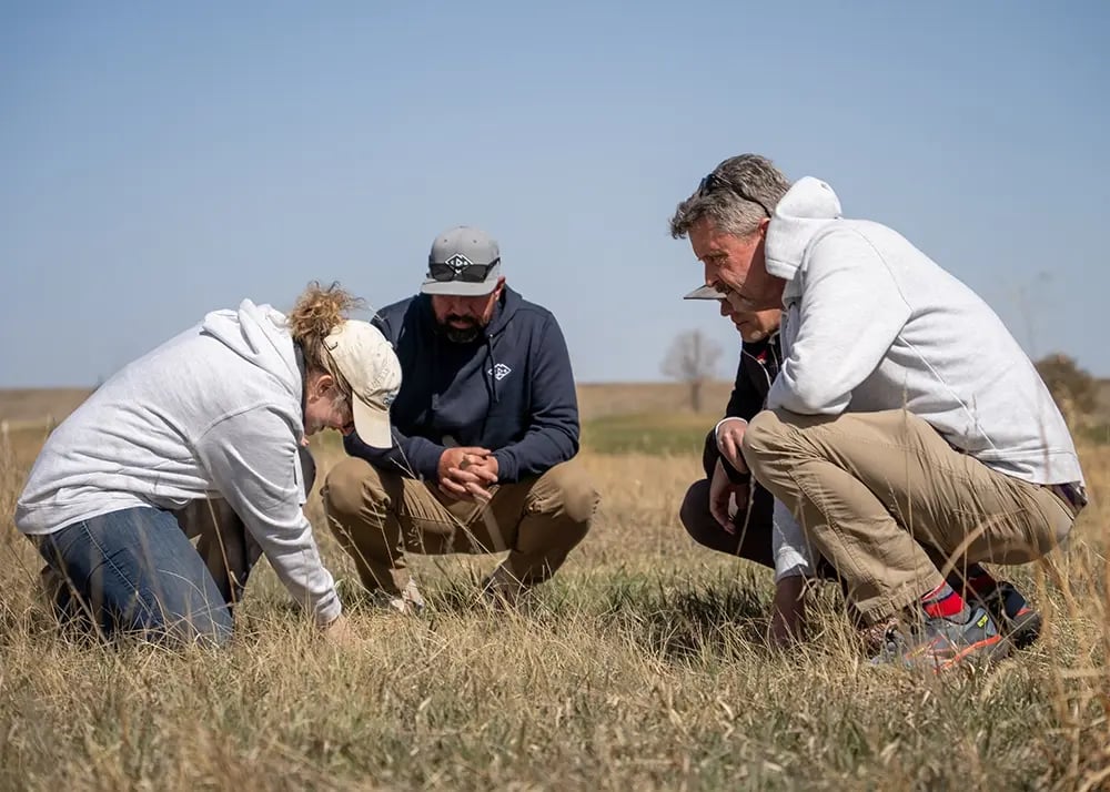 denver botanical garden