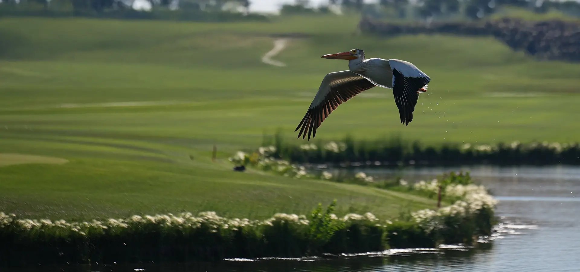 protect the places you love