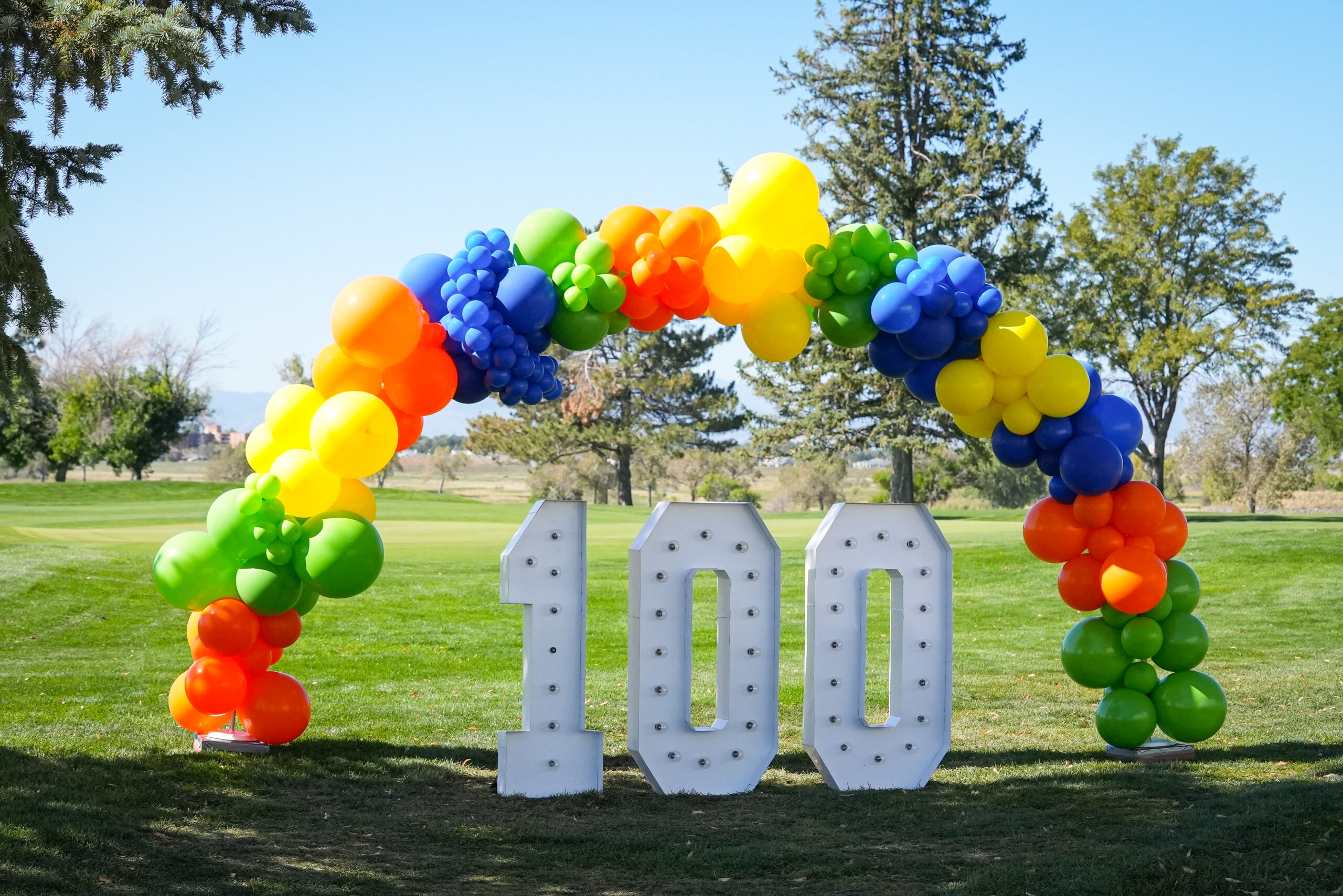 100 Holes in the Books