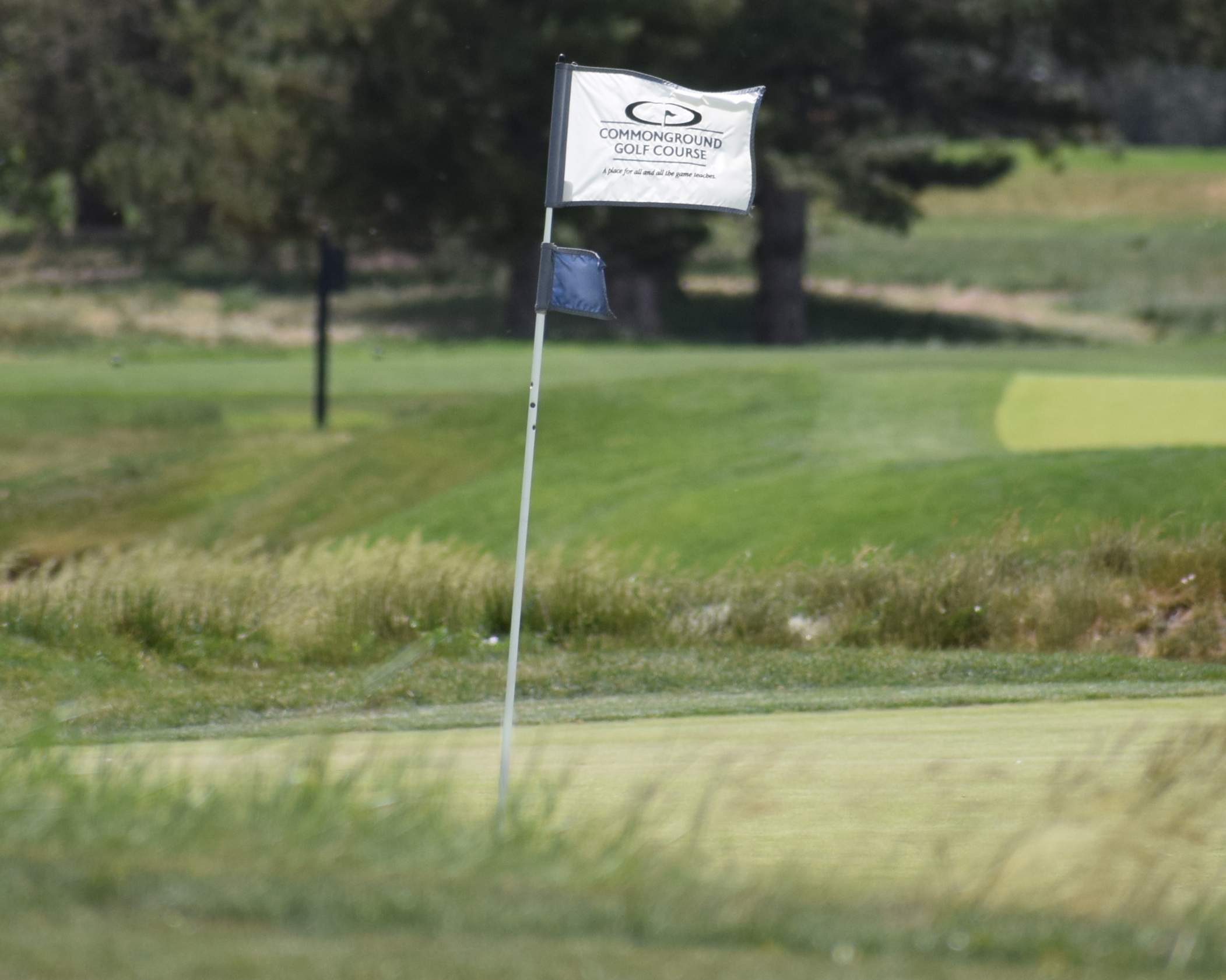 Helping Fill the Void