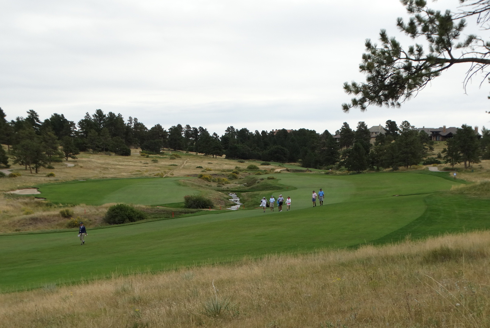 What Awaits This Year?