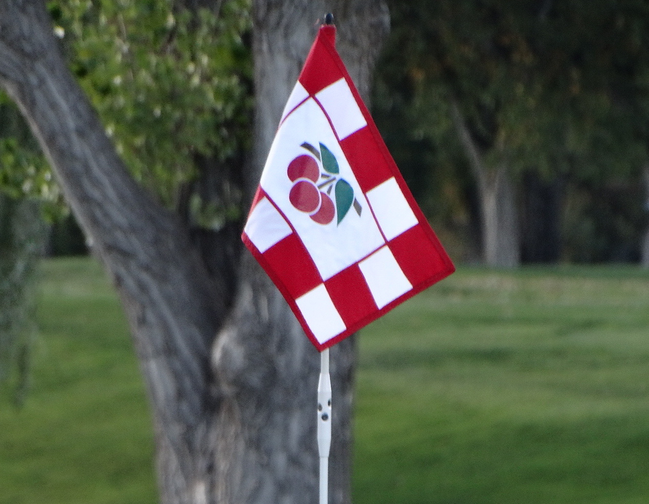 With a Cherry on Top