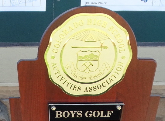 Boys State High School Roundup