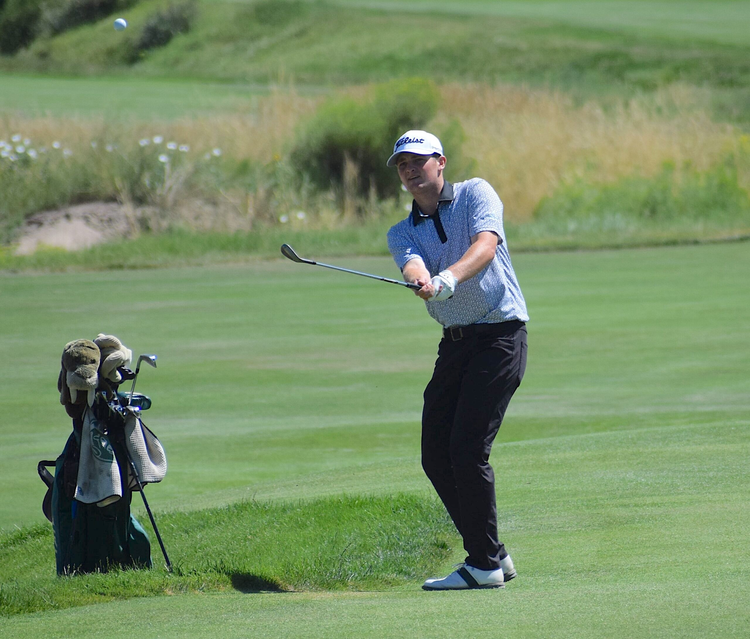 Happily Busy This Week