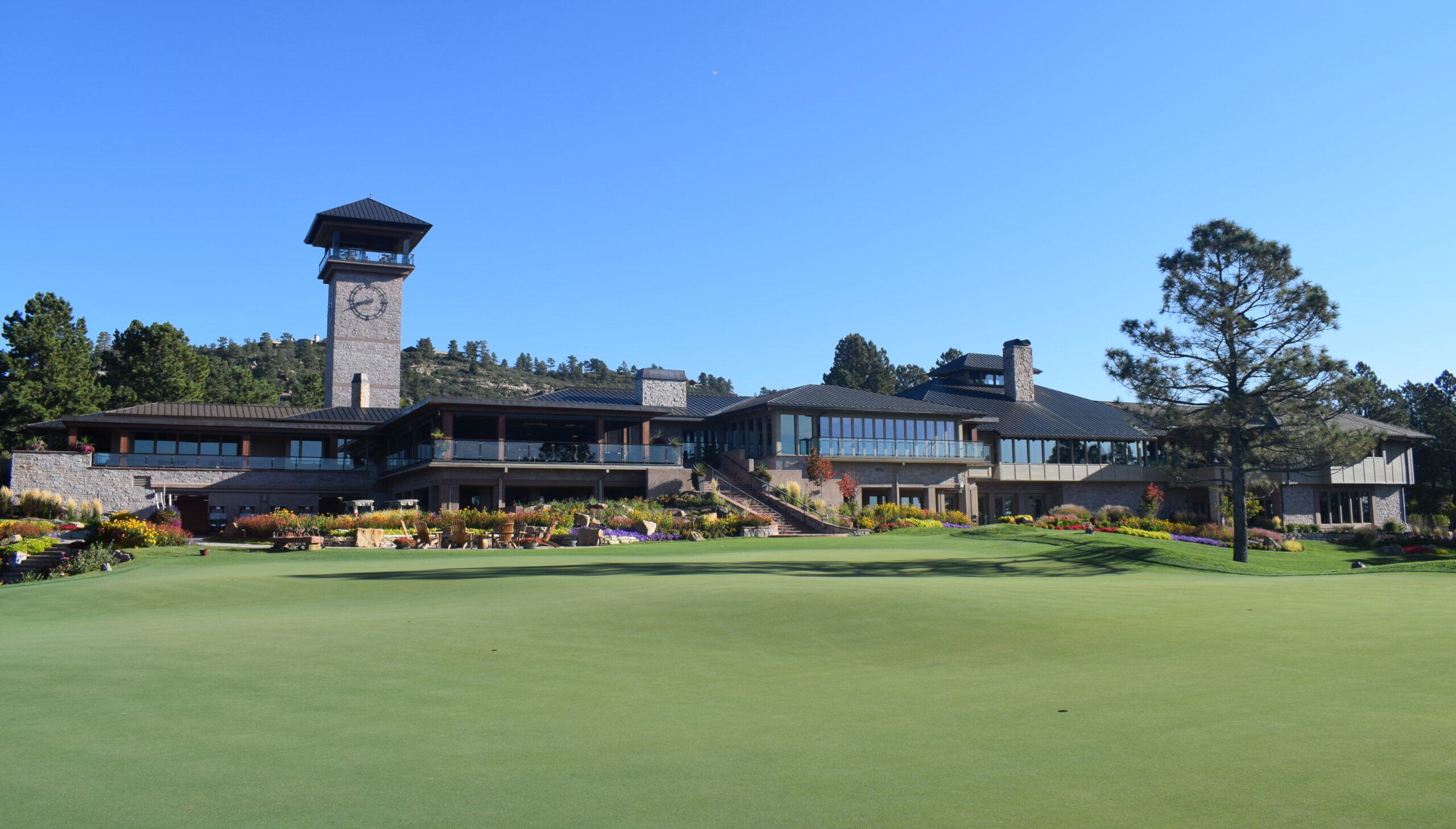 Whetting The Appetite