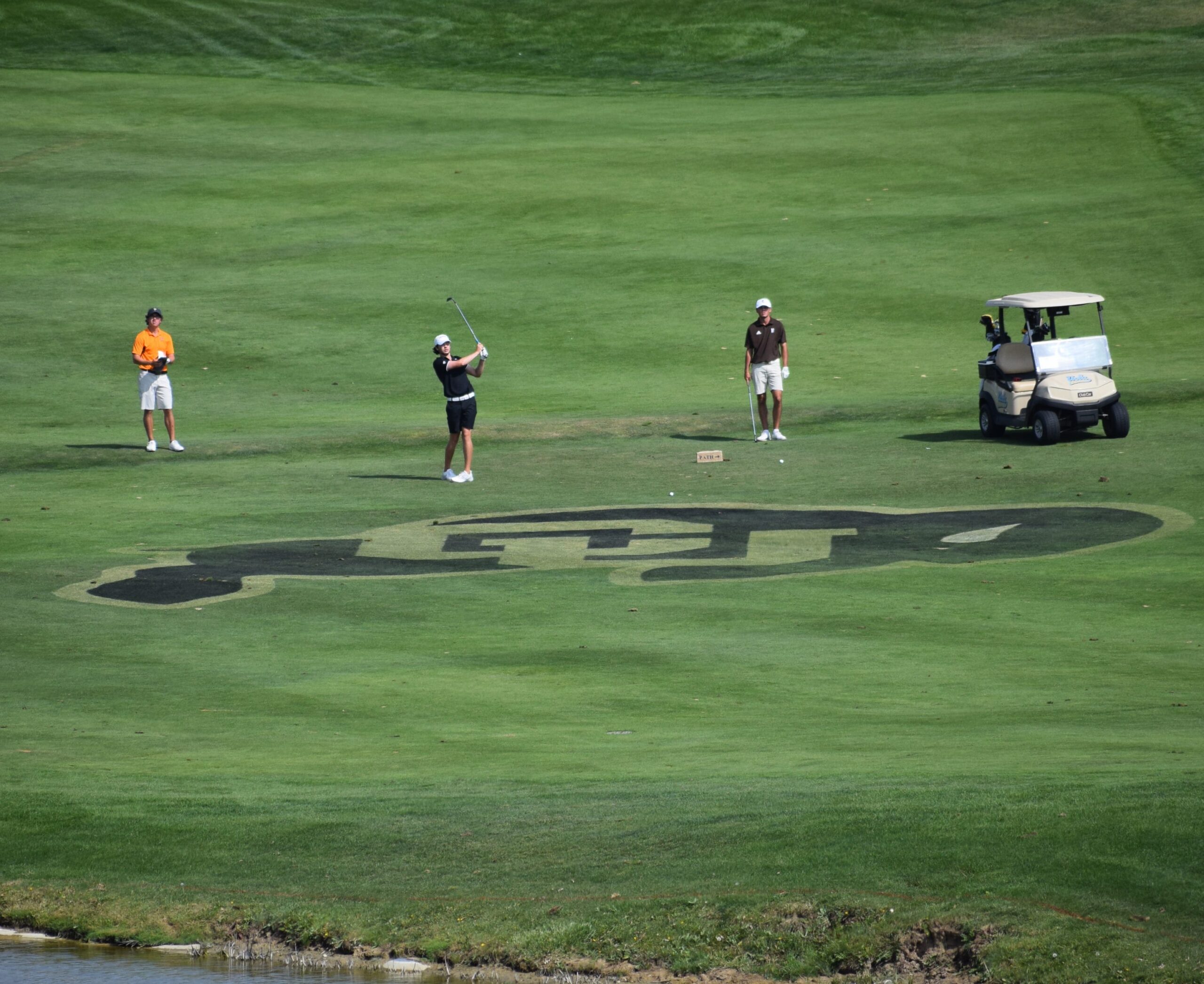 Monthly Musings, April Edition