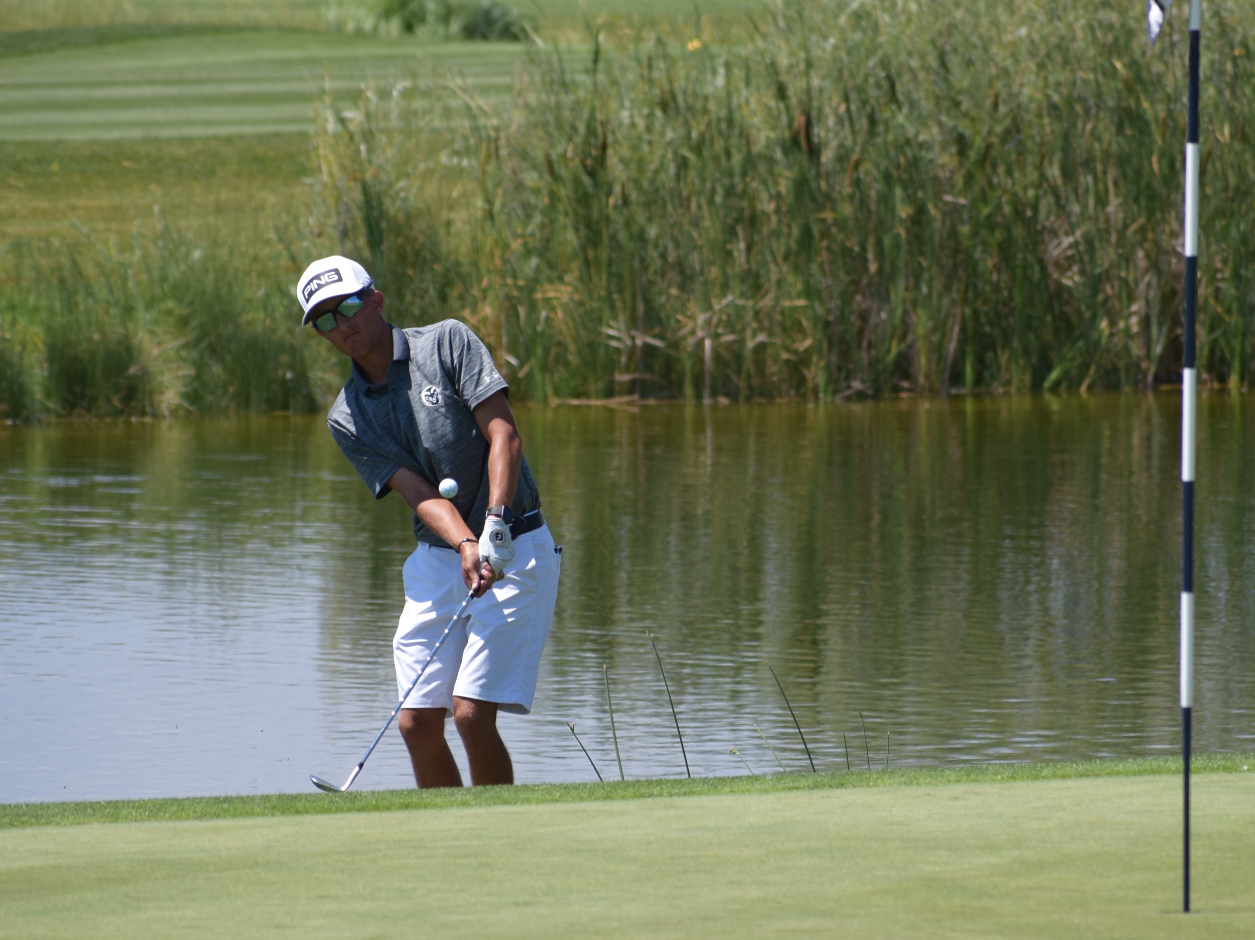 Super Sunday Shapes Up