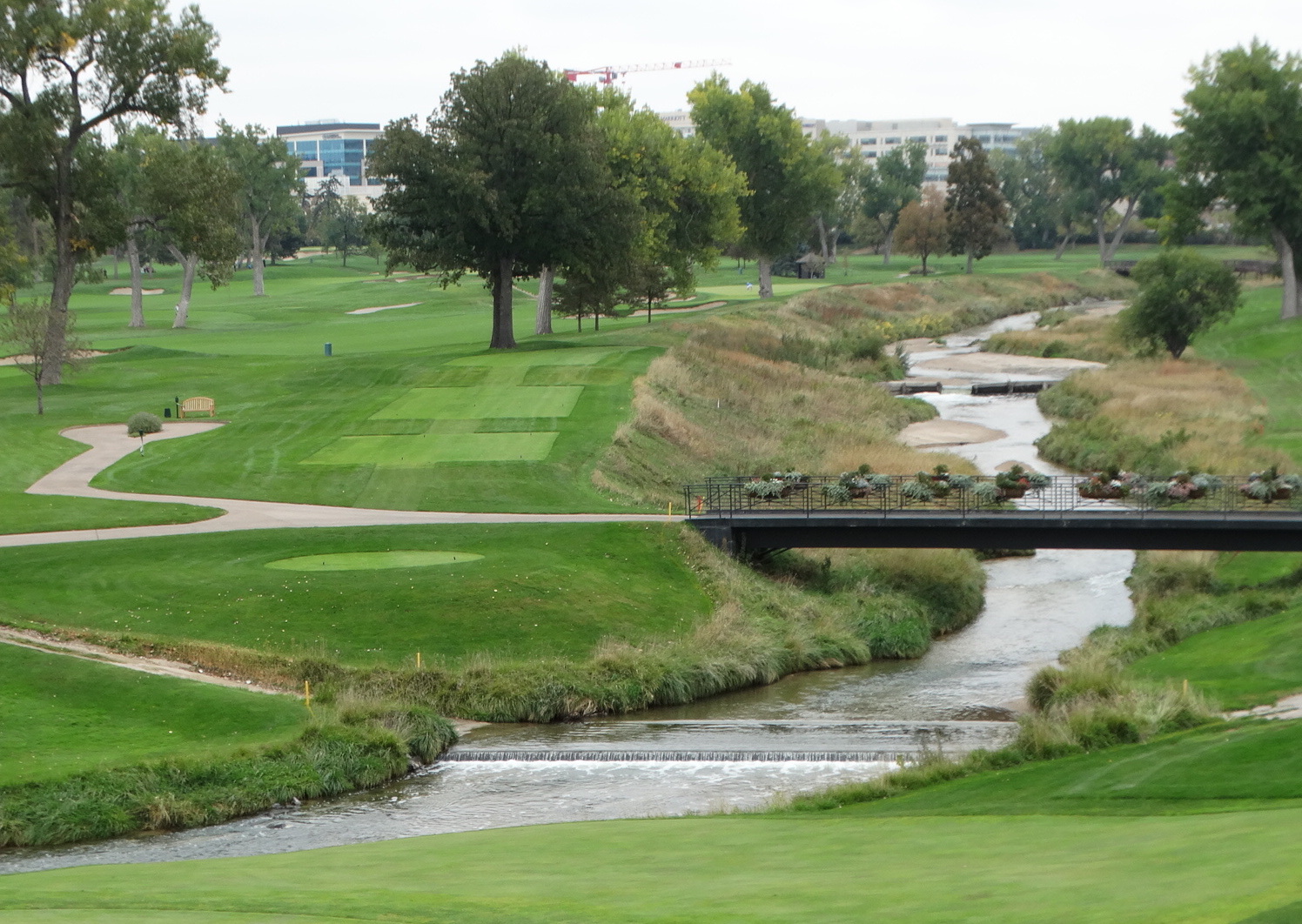 Addition to the Local Lineup