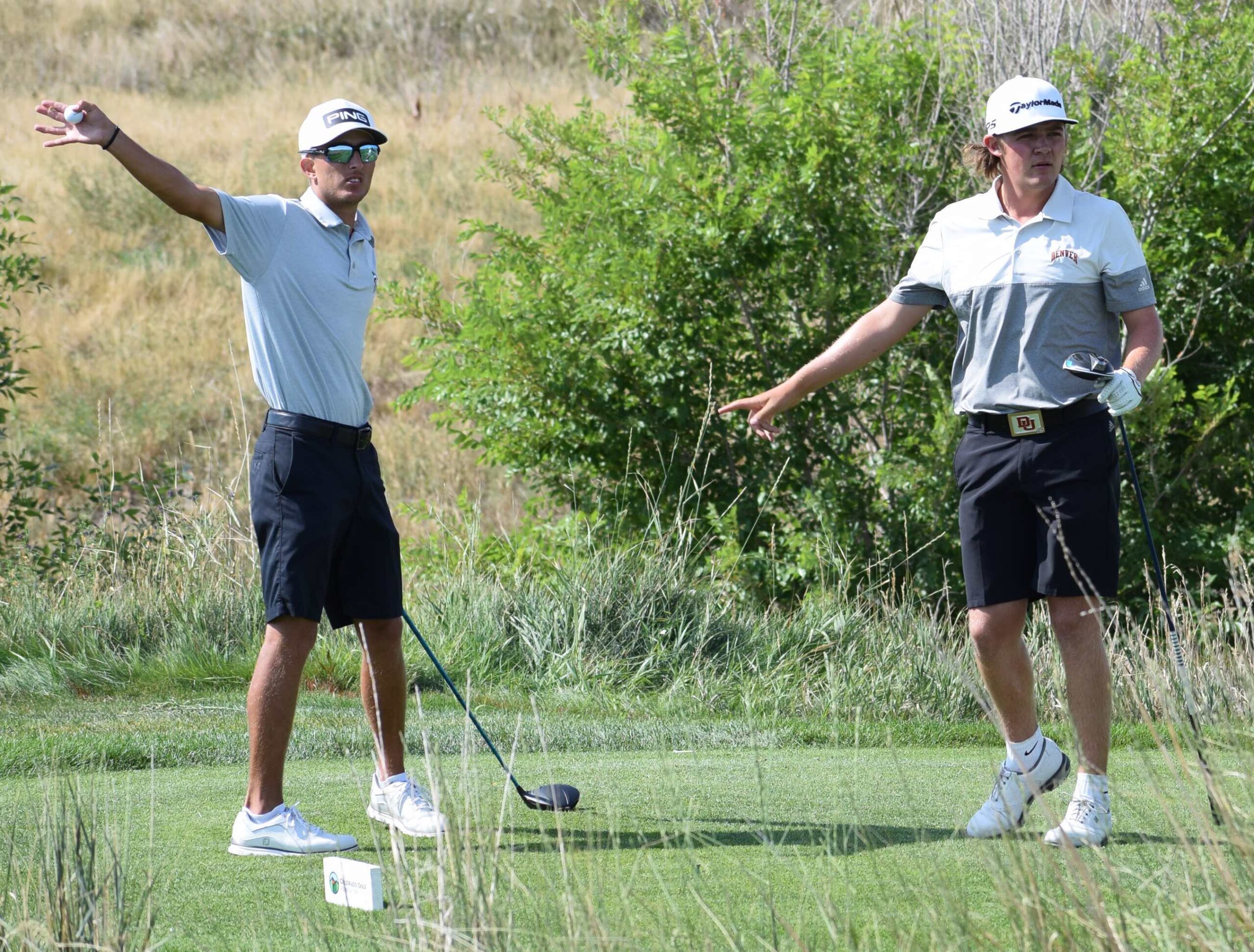 Different-Looking Fall