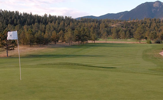 Schooling the Competition