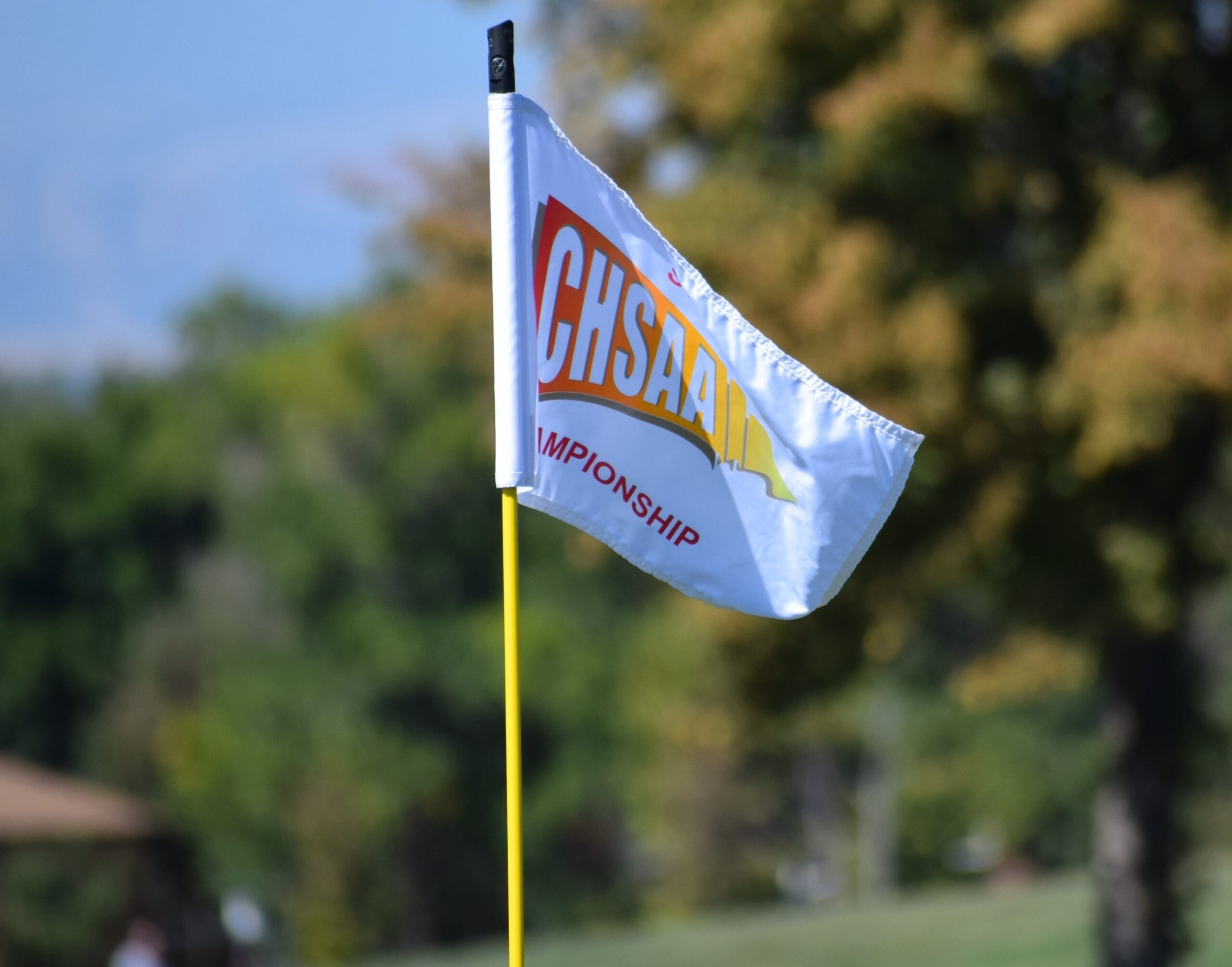 Girls State H.S. Roundup