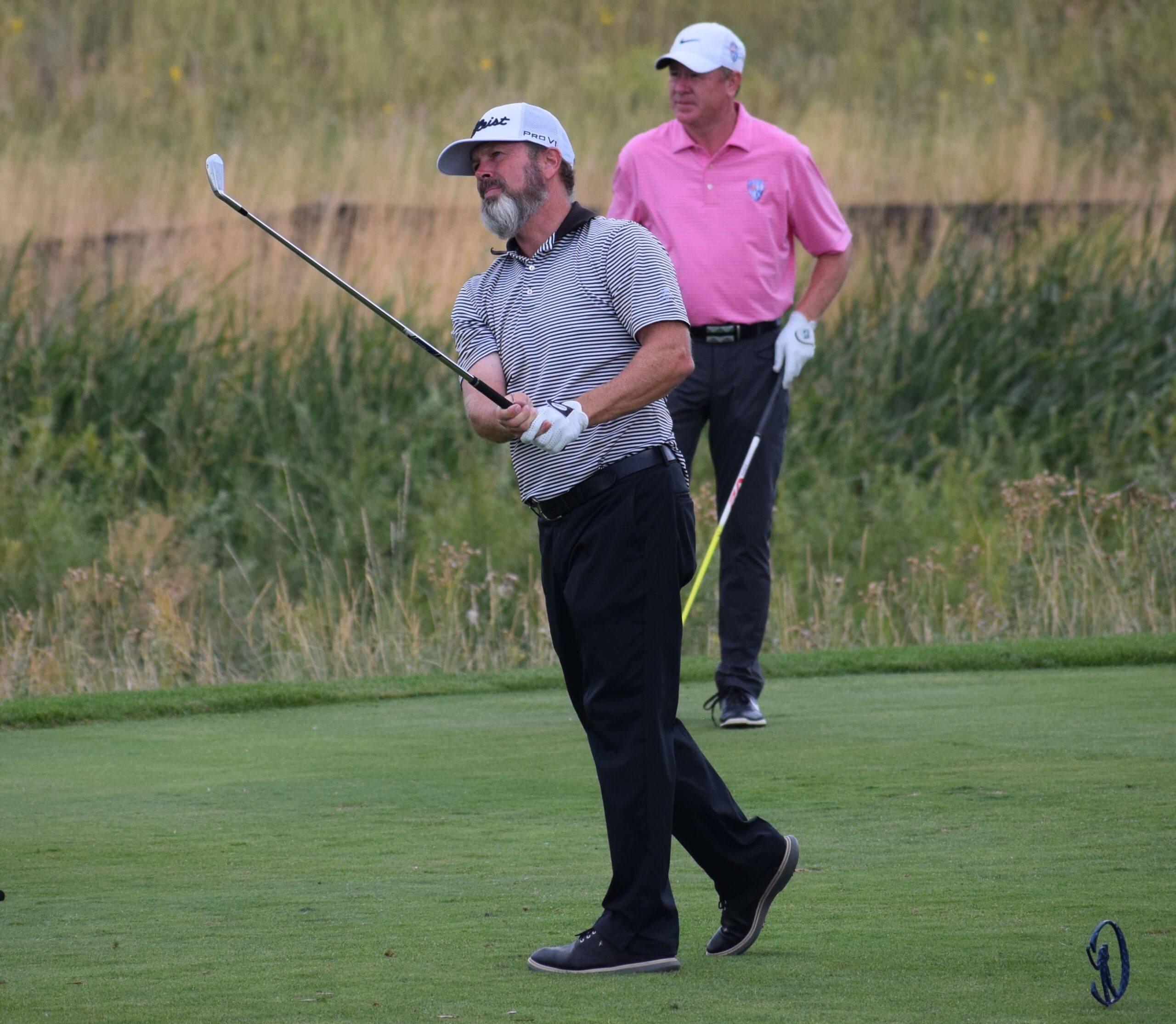 A First In The Works?