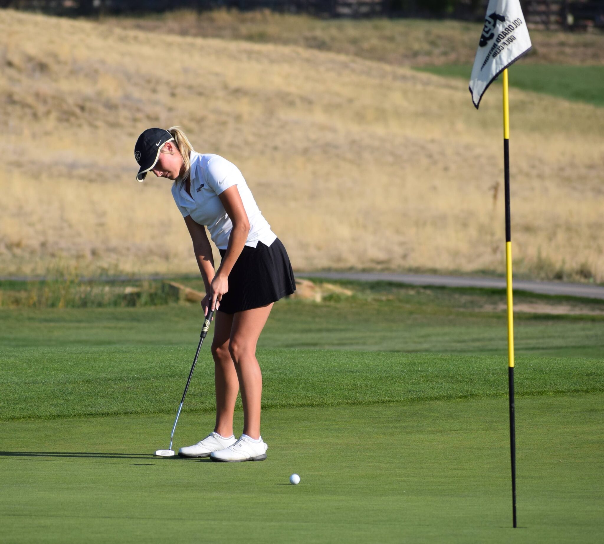 Local Mini-Tour Roundup