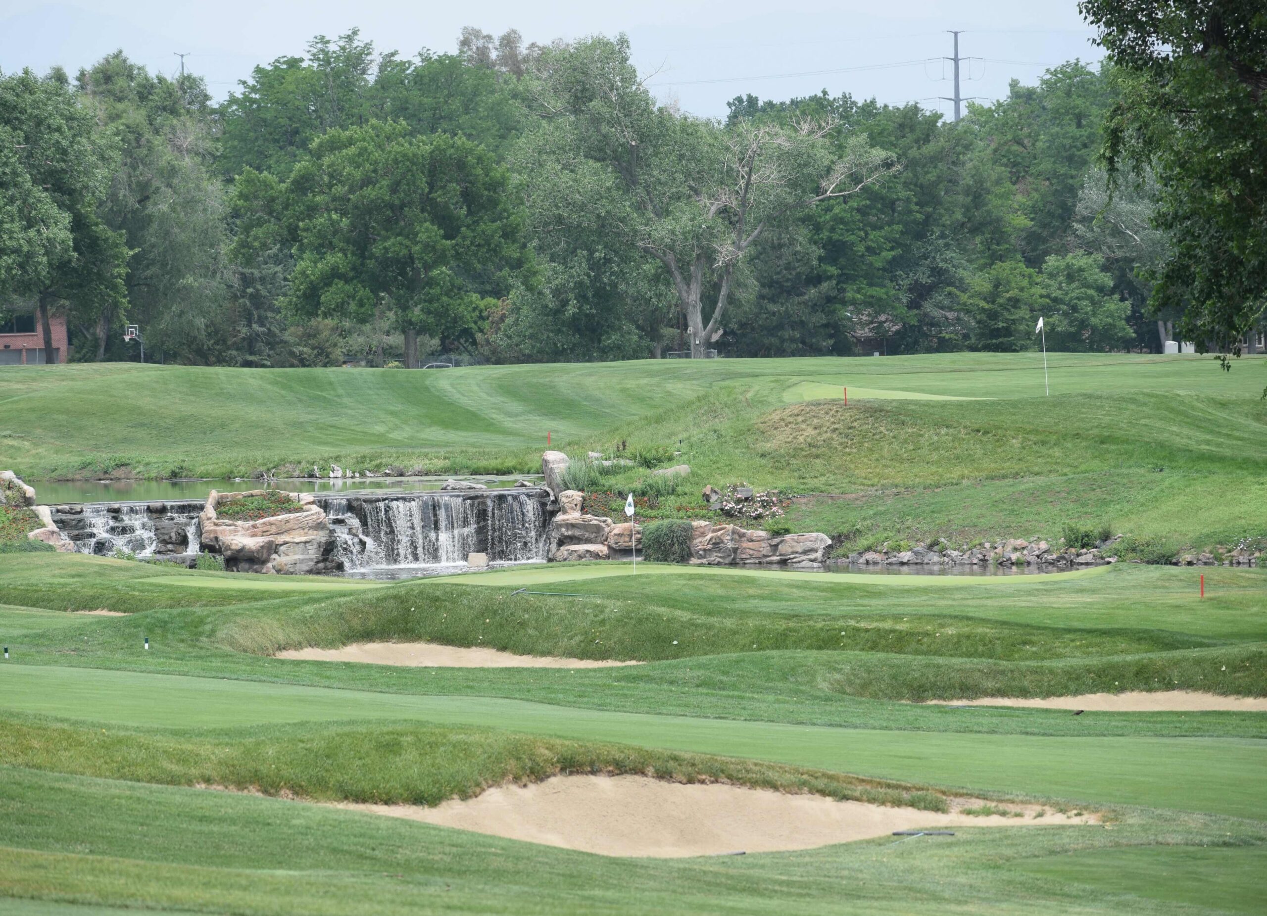 Paying Another Visit