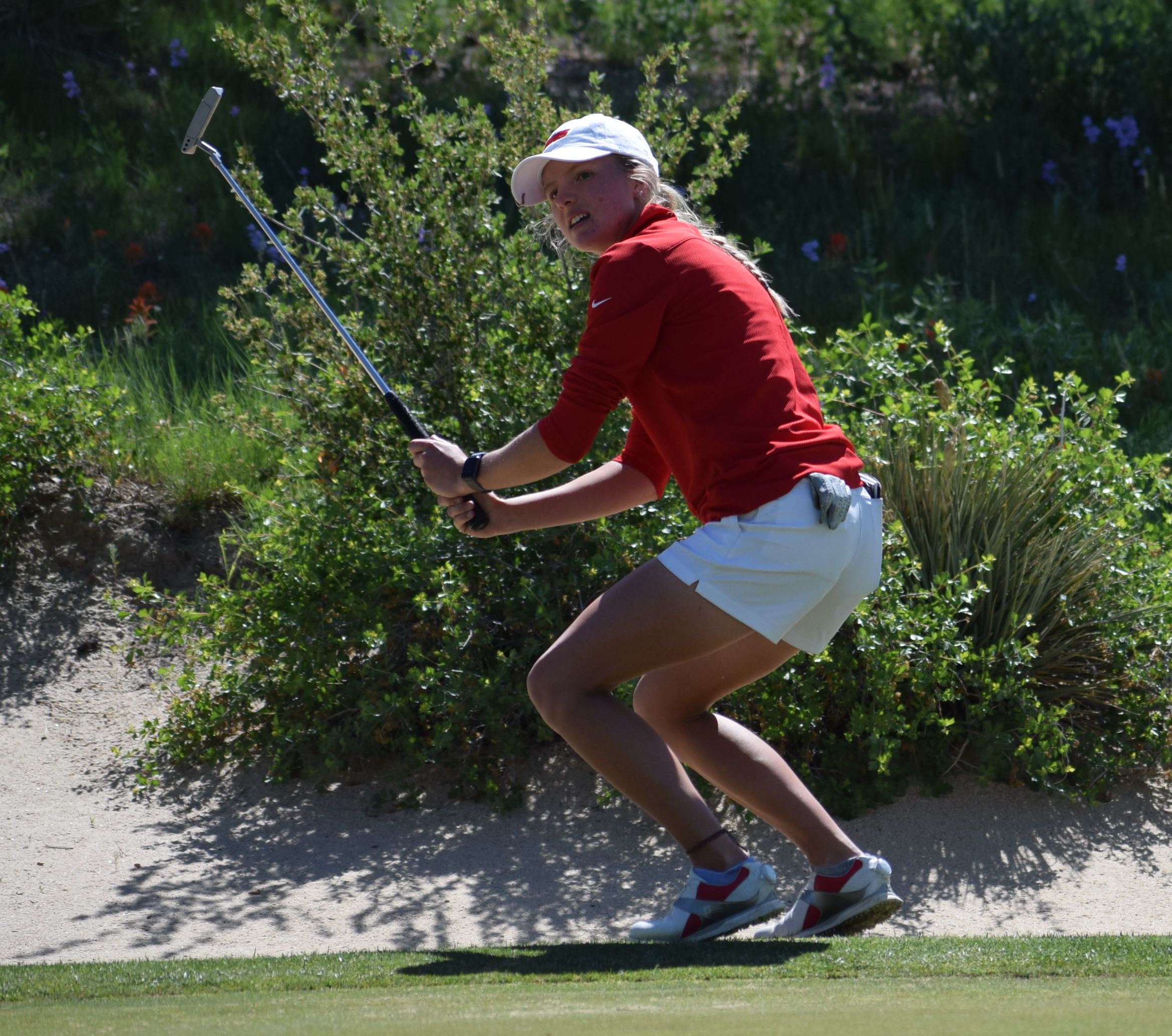 Strong Winter ShowingS