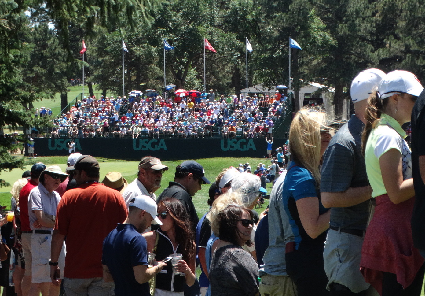 Down to the Final Dozen