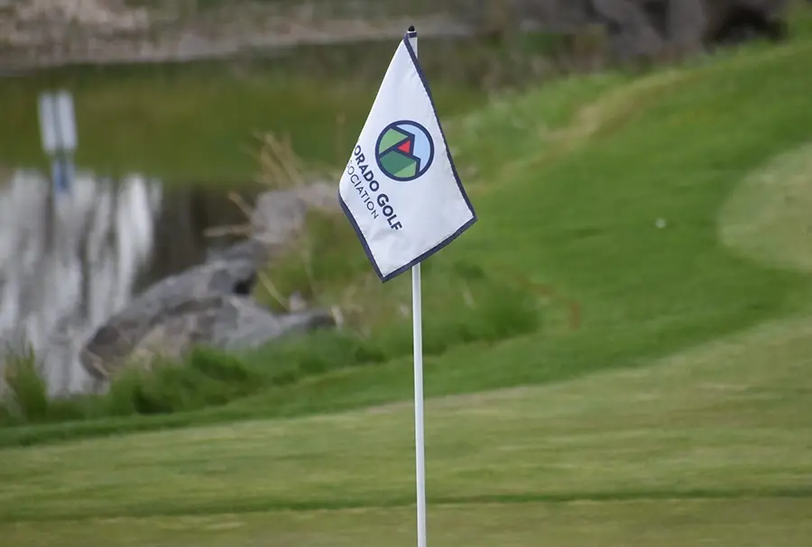 Whetting the Appetite